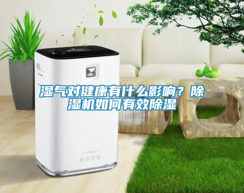 濕氣對健康有什么影響？除濕機如何有效除濕