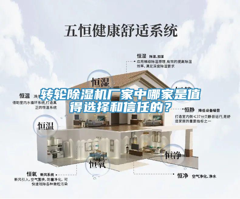 轉(zhuǎn)輪除濕機(jī)廠家中哪家是值得選擇和信任的？