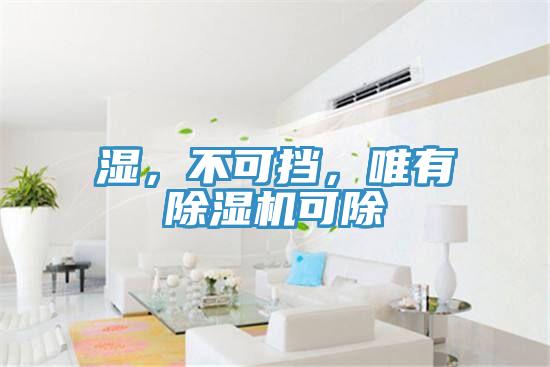 濕，不可擋，唯有除濕機(jī)可除