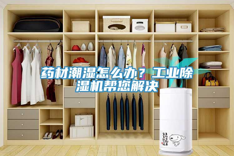 藥材潮濕怎么辦？工業(yè)除濕機(jī)幫您解決