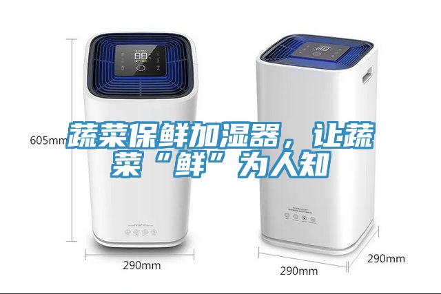 蔬菜保鮮加濕器，讓蔬菜“鮮”為人知