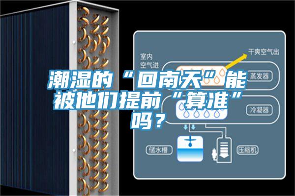 潮濕的“回南天”能被他們提前“算準”嗎？