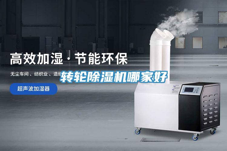 轉(zhuǎn)輪除濕機哪家好