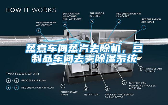 蒸煮車間蒸汽去除機，豆制品車間去霧除濕系統(tǒng)
