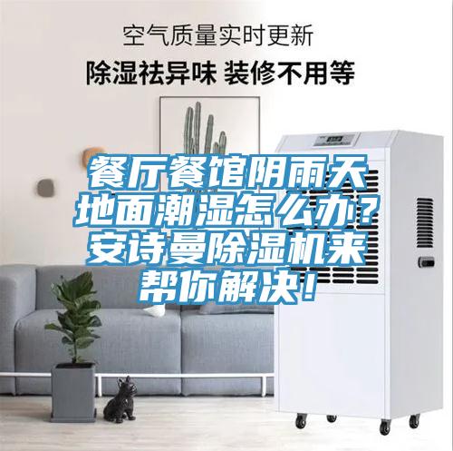 餐廳餐館陰雨天地面潮濕怎么辦？安詩曼除濕機(jī)來幫你解決！