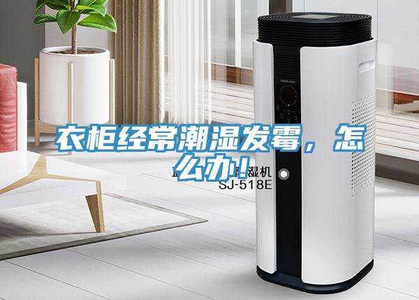 衣柜經(jīng)常潮濕發(fā)霉，怎么辦！
