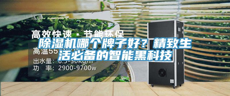 除濕機(jī)哪個(gè)牌子好？精致生活必備的智能黑科技