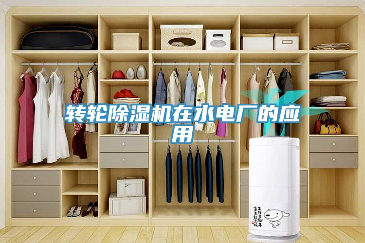轉(zhuǎn)輪除濕機(jī)在水電廠(chǎng)的應(yīng)用