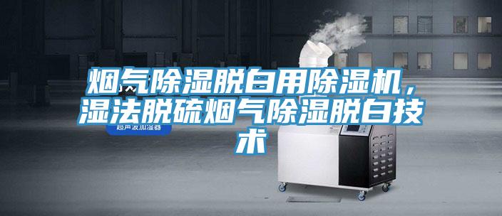 煙氣除濕脫白用除濕機(jī)，濕法脫硫煙氣除濕脫白技術(shù)