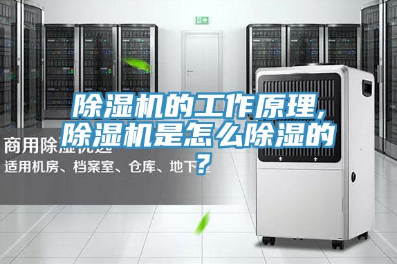除濕機的工作原理,除濕機是怎么除濕的？
