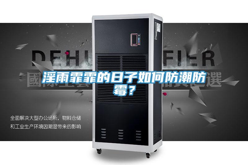 淫雨霏霏的日子如何防潮防霉？