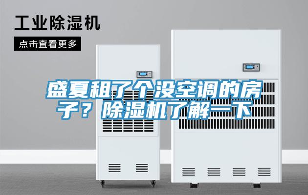 盛夏租了個沒空調(diào)的房子？除濕機了解一下