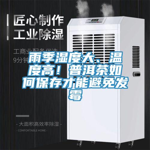 雨季濕度大、溫度高！普洱茶如何保存才能避免發(fā)霉