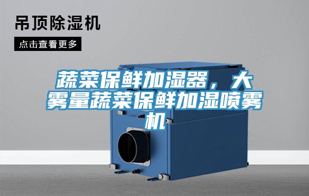 蔬菜保鮮加濕器，大霧量蔬菜保鮮加濕噴霧機