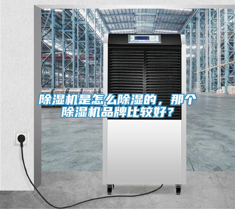 除濕機(jī)是怎么除濕的，那個除濕機(jī)品牌比較好？