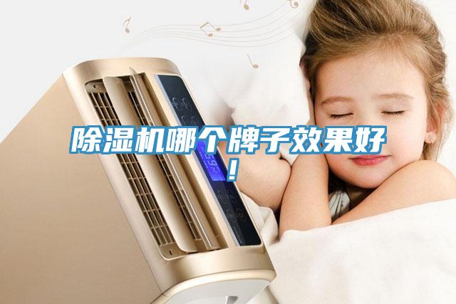 除濕機(jī)哪個(gè)牌子效果好！