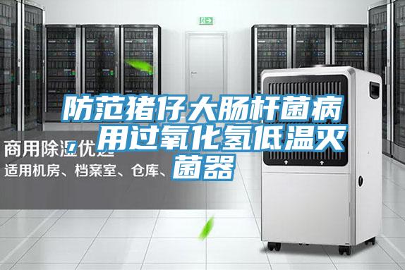 防范豬仔大腸桿菌病，用過氧化氫低溫滅菌器