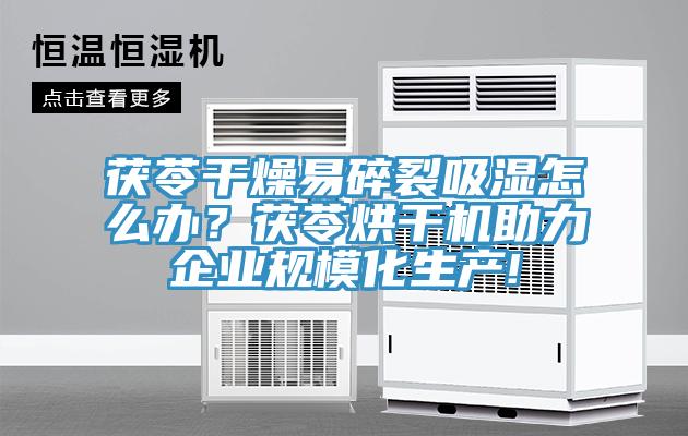 茯苓干燥易碎裂吸濕怎么辦？茯苓烘干機(jī)助力企業(yè)規(guī)?；a(chǎn)!
