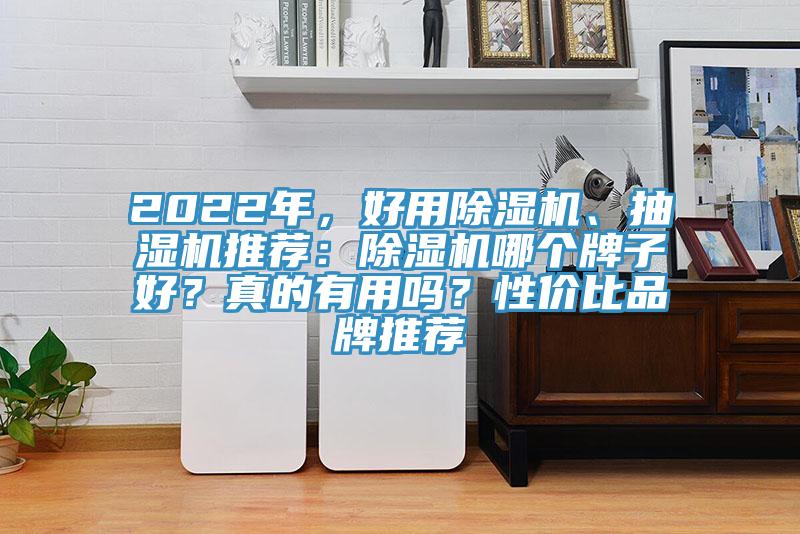 2022年，好用除濕機(jī)、抽濕機(jī)推薦：除濕機(jī)哪個牌子好？真的有用嗎？性價(jià)比品牌推薦