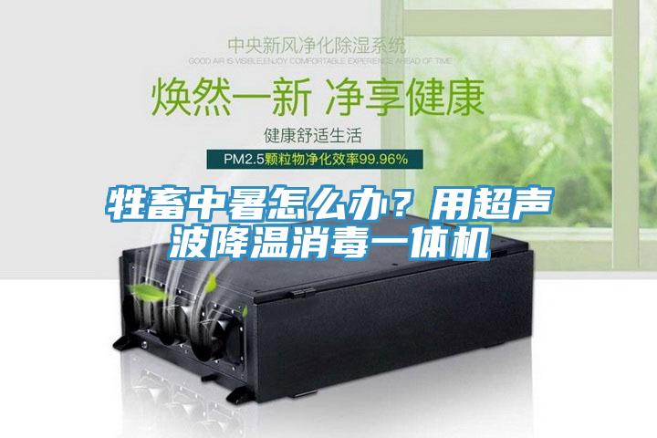 牲畜中暑怎么辦？用超聲波降溫消毒一體機(jī)