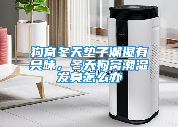 狗窩冬天墊子潮濕有臭味，冬天狗窩潮濕發(fā)臭怎么辦