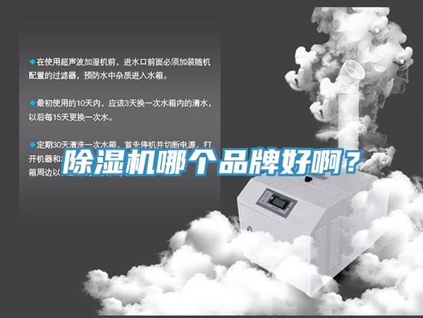除濕機(jī)哪個(gè)品牌好啊？