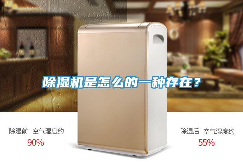 除濕機(jī)是怎么的一種存在？