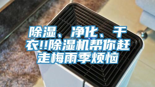除濕、凈化、干衣!!除濕機幫你趕走梅雨季煩惱