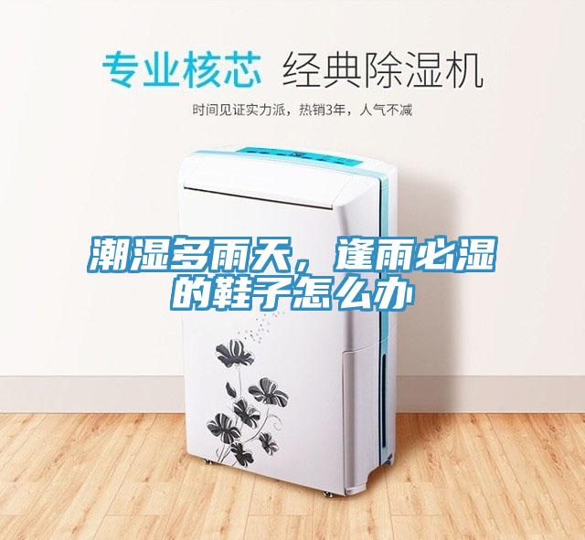 潮濕多雨天，逢雨必濕的鞋子怎么辦