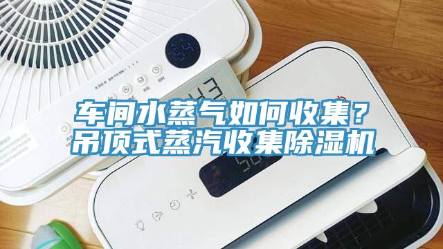 車間水蒸氣如何收集？吊頂式蒸汽收集除濕機(jī)