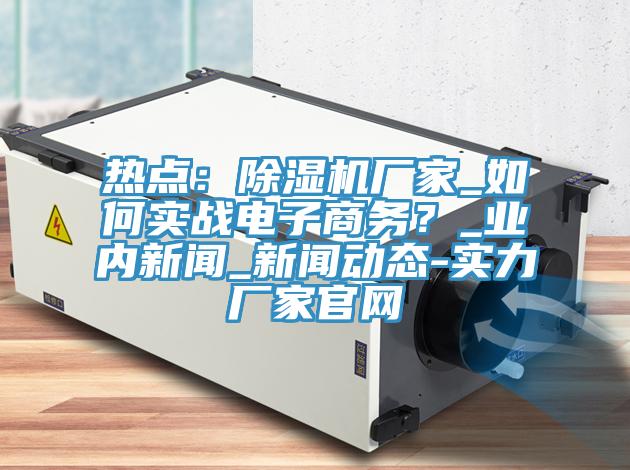 熱點(diǎn)：除濕機(jī)廠家_如何實(shí)戰(zhàn)電子商務(wù)？_業(yè)內(nèi)新聞_新聞動態(tài)-實(shí)力廠家官網(wǎng)
