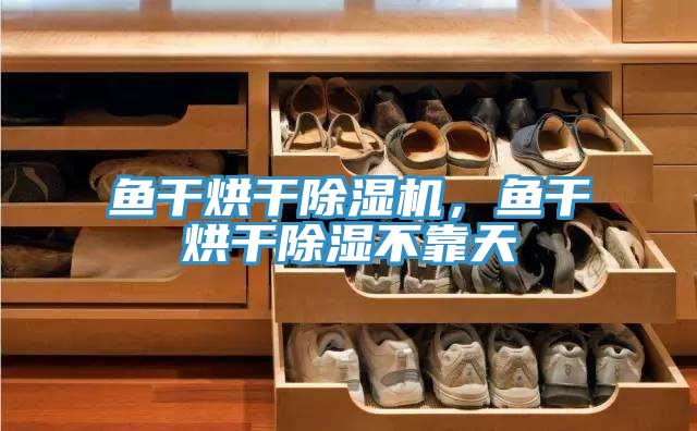 魚干烘干除濕機，魚干烘干除濕不靠天