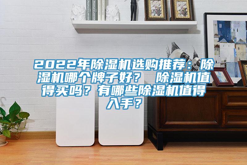 2022年除濕機(jī)選購?fù)扑]：除濕機(jī)哪個牌子好？ 除濕機(jī)值得買嗎？有哪些除濕機(jī)值得入手？