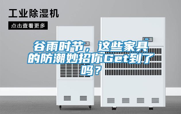 谷雨時(shí)節(jié)，這些家具的防潮妙招你Get到了嗎？
