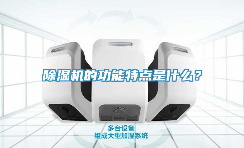 除濕機(jī)的功能特點(diǎn)是什么？