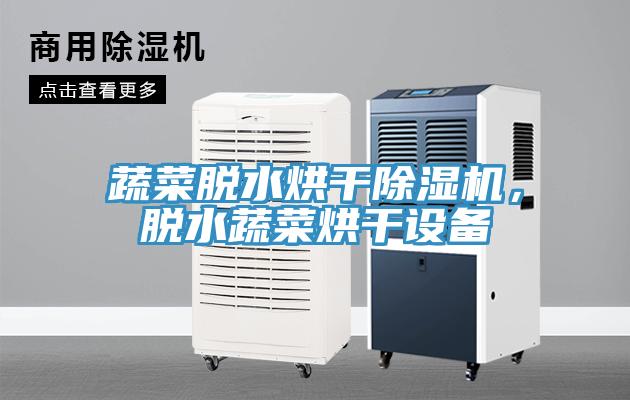 蔬菜脫水烘干除濕機，脫水蔬菜烘干設備