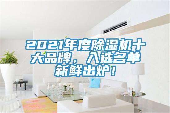 2021年度除濕機(jī)十大品牌，入選名單新鮮出爐！