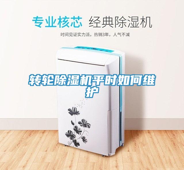 轉(zhuǎn)輪除濕機平時如何維護