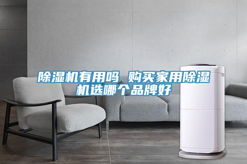 除濕機(jī)有用嗎 購買家用除濕機(jī)選哪個品牌好