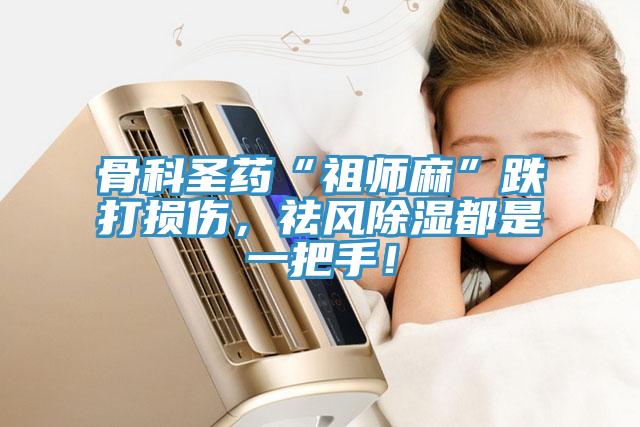 骨科圣藥“祖師麻”跌打損傷，祛風(fēng)除濕都是一把手！