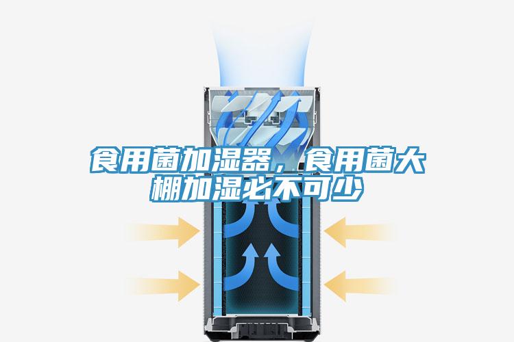 食用菌加濕器，食用菌大棚加濕必不可少