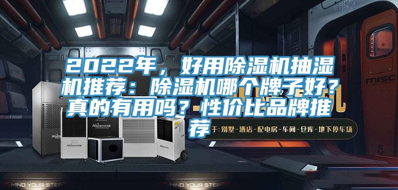 2022年，好用除濕機(jī)抽濕機(jī)推薦：除濕機(jī)哪個牌子好？真的有用嗎？性價(jià)比品牌推薦