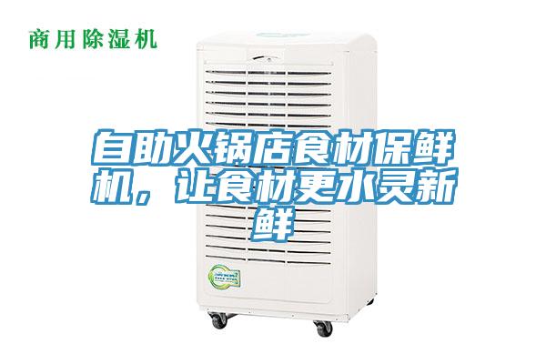 自助火鍋店食材保鮮機(jī)，讓食材更水靈新鮮