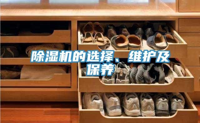 除濕機(jī)的選擇、維護(hù)及保養(yǎng)