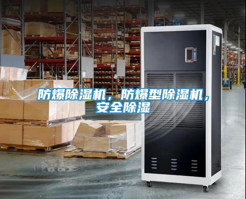 防爆除濕機(jī)，防爆型除濕機(jī)，安全除濕
