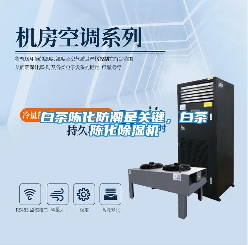 白茶陳化防潮是關鍵，白茶陳化除濕機
