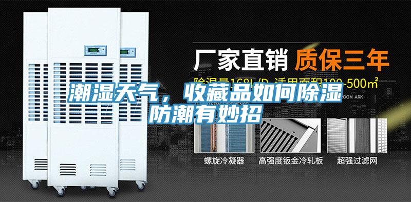 潮濕天氣，收藏品如何除濕防潮有妙招