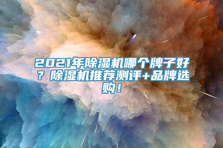 2021年除濕機(jī)哪個牌子好？除濕機(jī)推薦測評+品牌選購！
