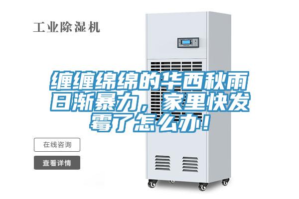 纏纏綿綿的華西秋雨日漸暴力，家里快發(fā)霉了怎么辦！