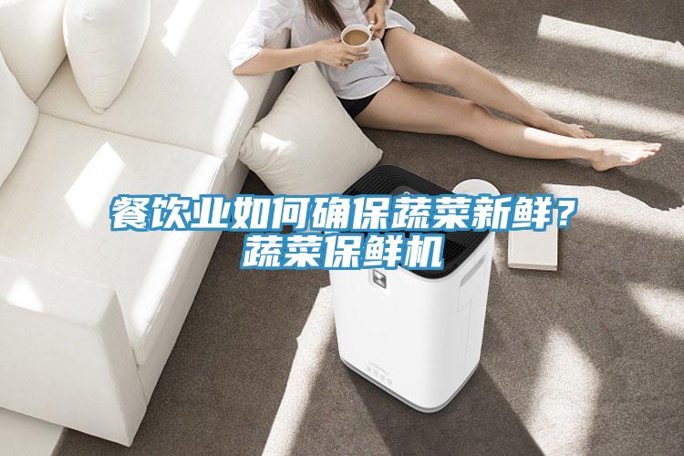 餐飲業(yè)如何確保蔬菜新鮮？蔬菜保鮮機(jī)